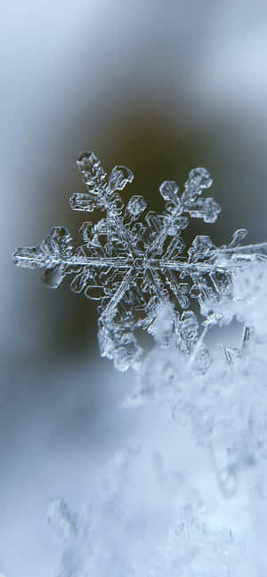 Silwer Estetiek iPhone — Sneeuw estetiek Muurpapier