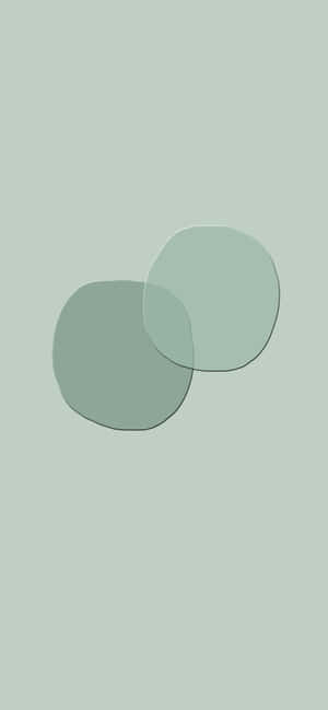 Groen Estetiese agtergrond — iPhone 14 Muurpapier