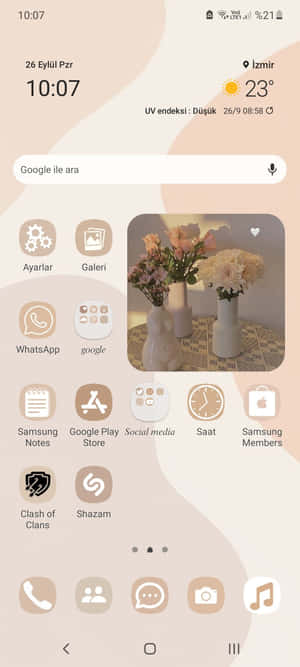 Aesthetic Widgets Prente — 20:9 Muurpapier