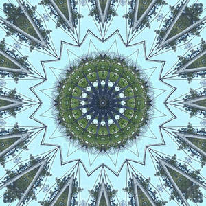 Estetiese Trippy
