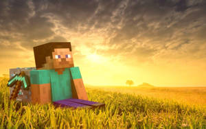Minecraft Steve In Grasveld HD-agtergrond