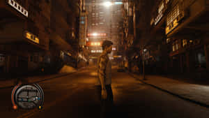 Sleeping Dogs agtergrond — Slapende honde Muurpapier