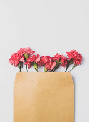 Klein en oulike pienk blomme agtergrond. — OnePlus Pad 2 Pro Muurpapier