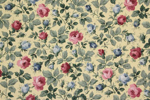 Vintage Blouroos-estetika — Roos-estetika Muurpapier