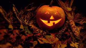 Vintage Halloween Pampoen in Mielieland.