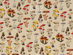 Vintage Oulike Paddaflesskerm — Snoesige sampioen Muurpapier