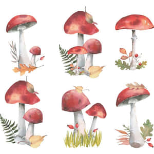 Vintage Oulike Sampioen Muurplakker Plakker — Sampioen-estetiek Muurpapier