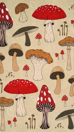 Vintage Spotprent Paddestoel Estetiek — Snoesige sampioen Muurpapier
