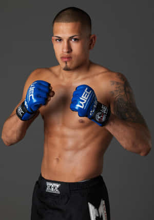 Warm Latynse UFC-vegter Anthony Pettis — Vivo Pad5 Muurpapier