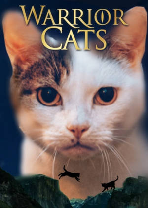 Warrior Cats