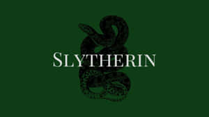Swartgalligheid-estetika prente — Slytherin estetiek Muurpapier