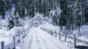 Winter Agtergrond