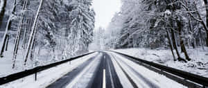Winter Agtergrond — Winter Muurpapier