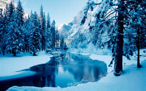 Winter Agtergrond — Winter Muurpapier