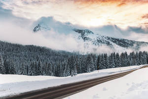 Winter padoorsig agtergrond