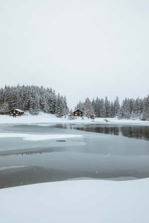 winter wonderland Prente — Winters Estetika Muurpapier