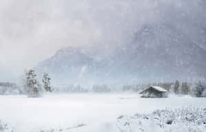 winter wonderland prente — Winters Estetika Muurpapier