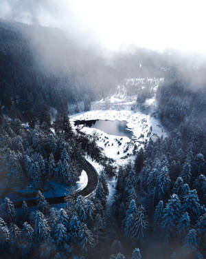Winterbos en meer agtergrond