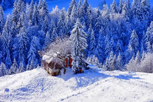 Winterhuis op sneeuw agtergrond