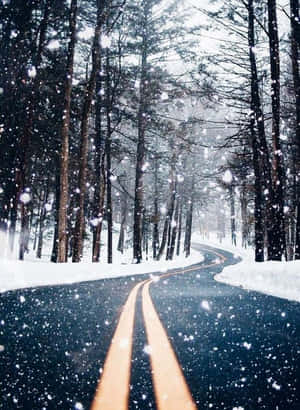 Winterwonderland: 'n Sneeupad in die Bos — HMD Terra M Muurpapier