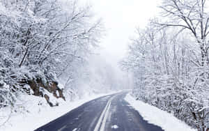 Winterwonderland op Ysige Pad — MacBook Pro M1 Muurpapier