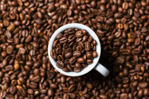 Wit Beker Gevul Met Koffiebone