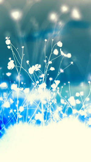 Wit Blou Blom Iphone — Blom Muurpapier
