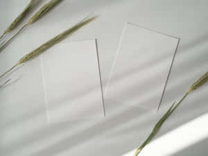 papier agtergrond — Wit estetiese Muurpapier