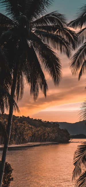 1170x2532 — Huawei nova 16 Muurpapier