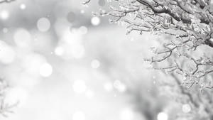 Wit Kersfees in die winter agtergrond