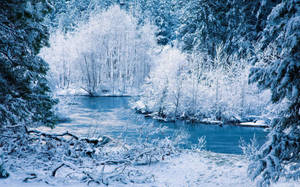 Wit winter rivieroewer agtergrond