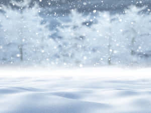 Sneeu Agtergrond — Winters Estetika Muurpapier