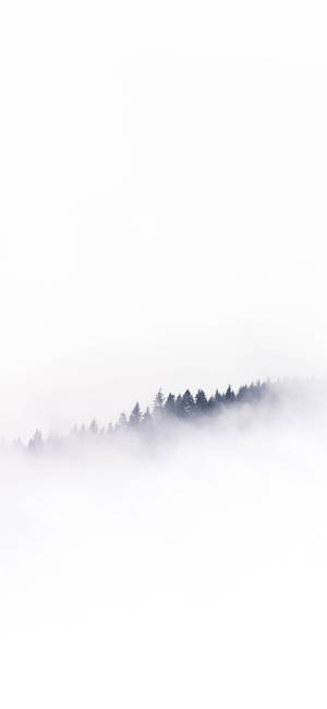 Wit iPhone Wolke Op Berg Bome — Samsung S23 Ultra Muurpapier
