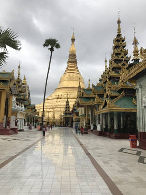 Yangon Shwedagon Kompleks Agtergrond — Gedemp Muurpapier